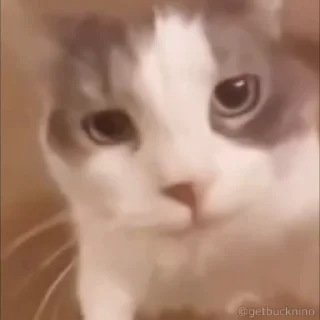 😘