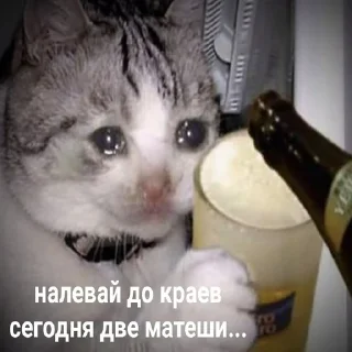 😢
