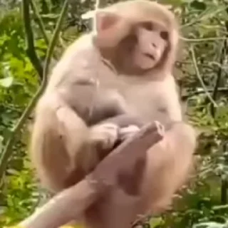 🌟