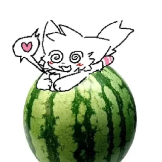 🍉