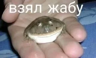 🐸