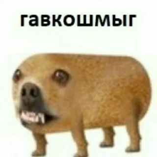 🐺