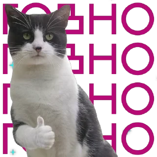 👍