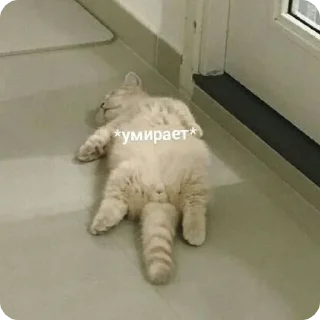 ⚰️