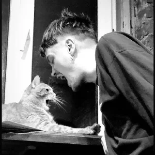 😾