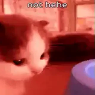 😡
