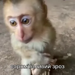 🫣