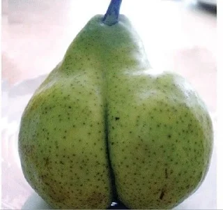 🍑