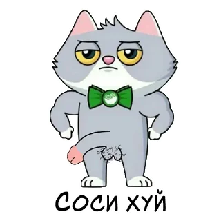 😎