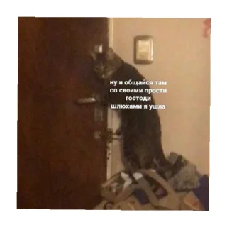 😒