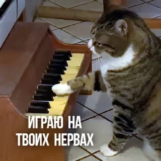 😌