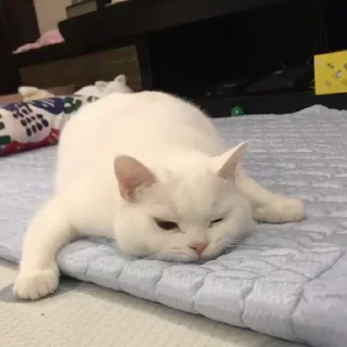 🤨