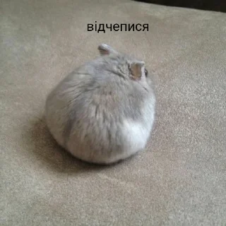 😠