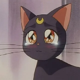 🥺