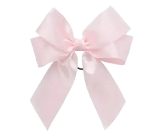 🎀