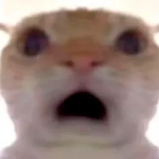 😧