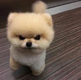 🥺