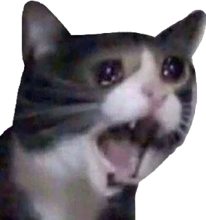😱