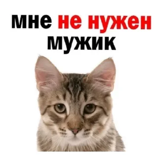 😄
