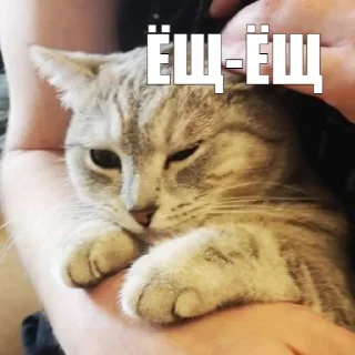 🥺