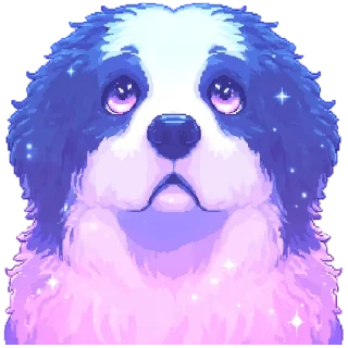 🐶