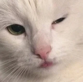 😉