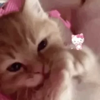 💕