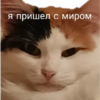 👽
