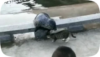 👊