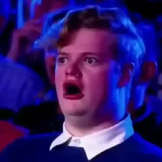 🪽