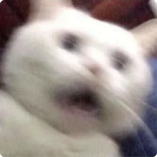 😱