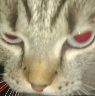 💕