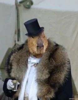 🎩
