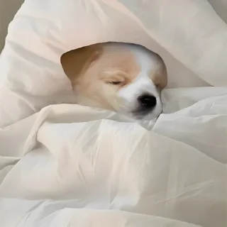 😴