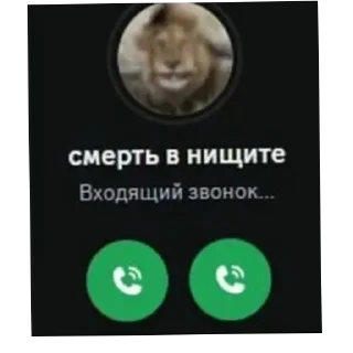 📱