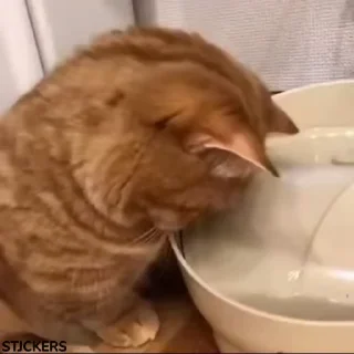 😞