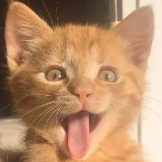 😛