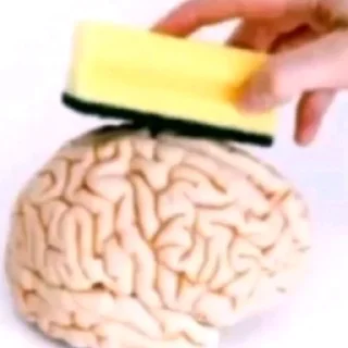 🤍