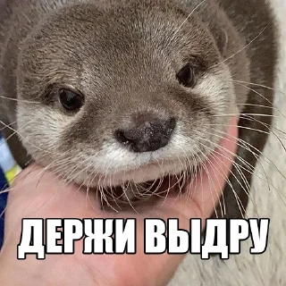 🤗