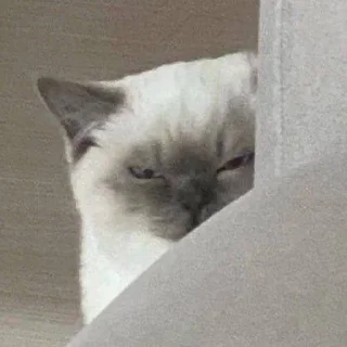 🤨