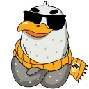 😎