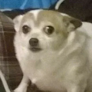 😳