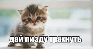 😈