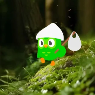 🦉