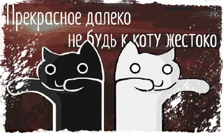 😾
