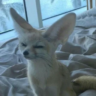😑