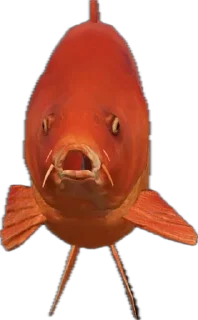 😨
