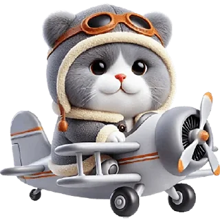 ✈️