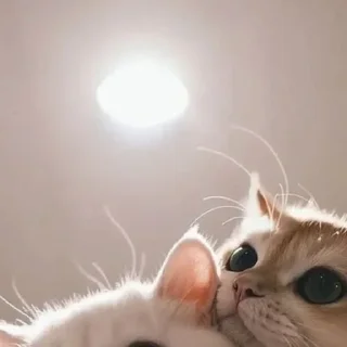 😙
