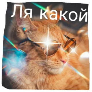 🤪